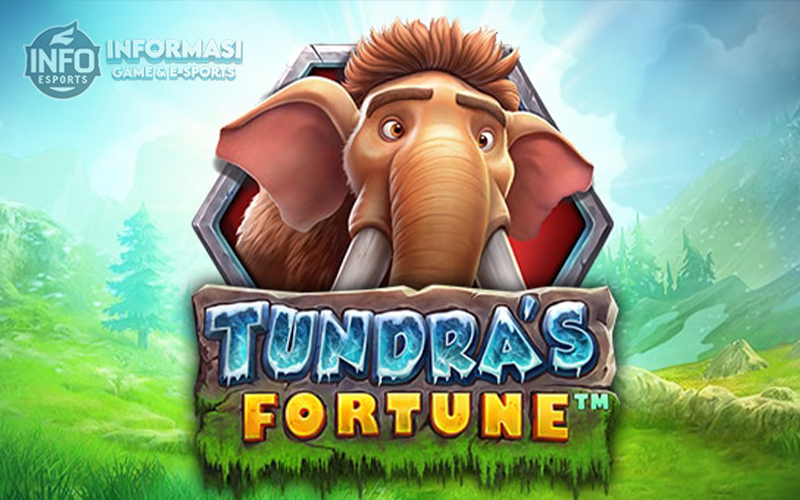 Tundra’s Fortune