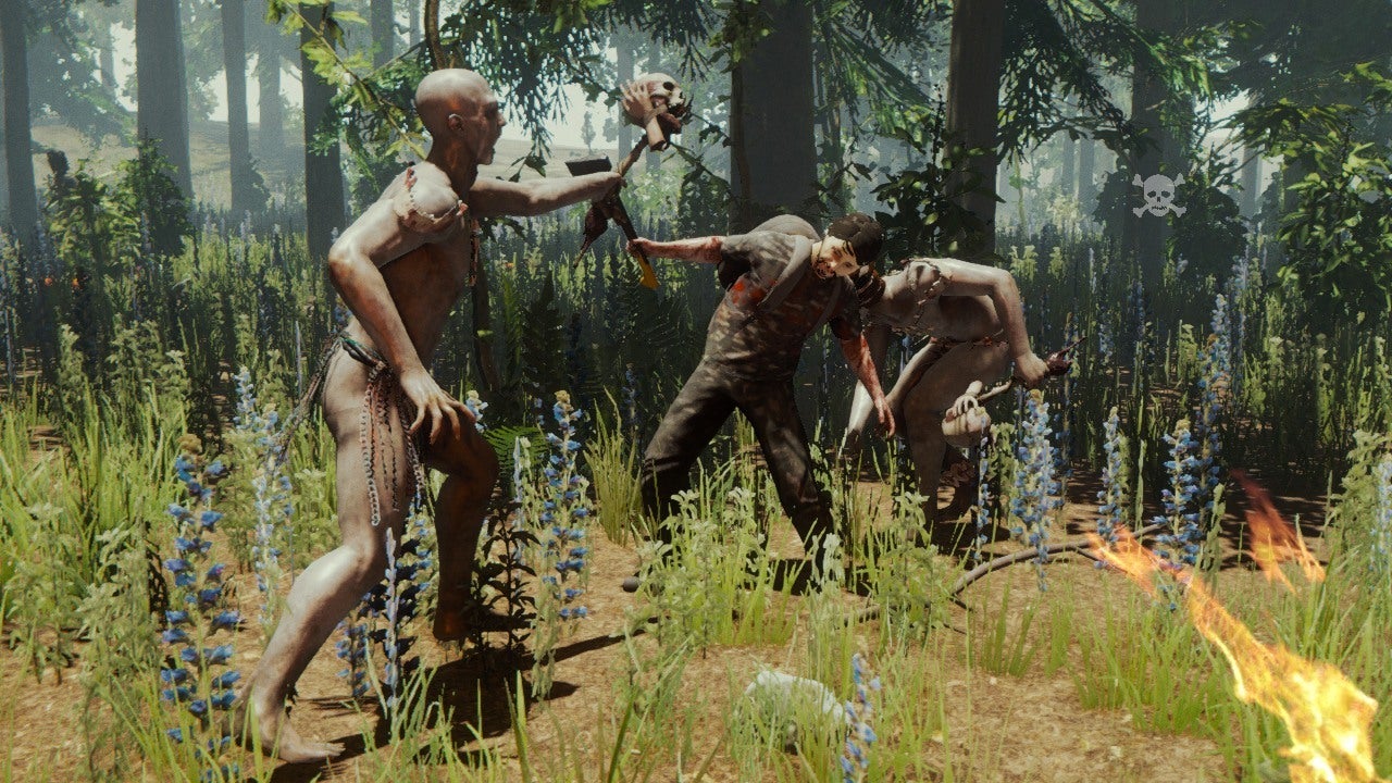 The Forest