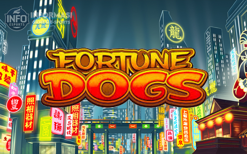 Fortune Dogs
