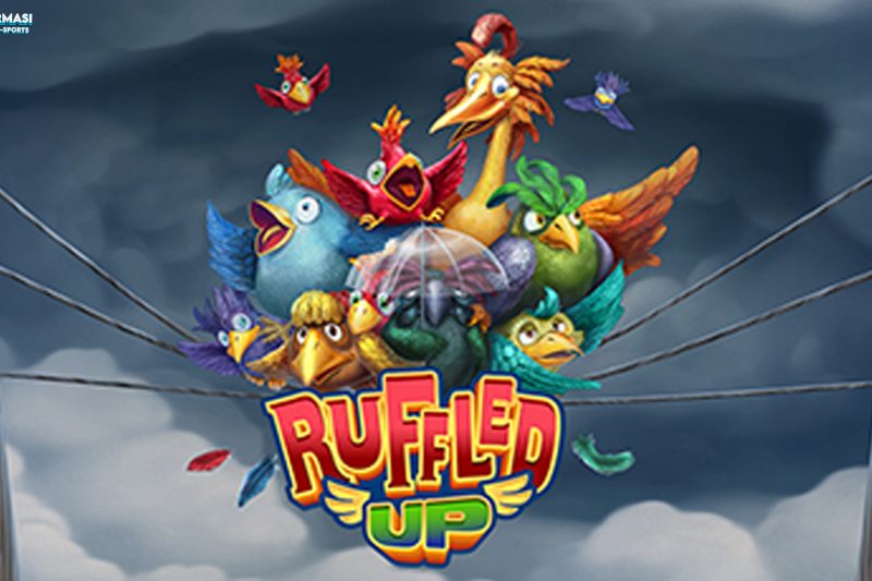 Cnnslot Suguhkan Ruffled Up lewat 5 Keunikan Menarik