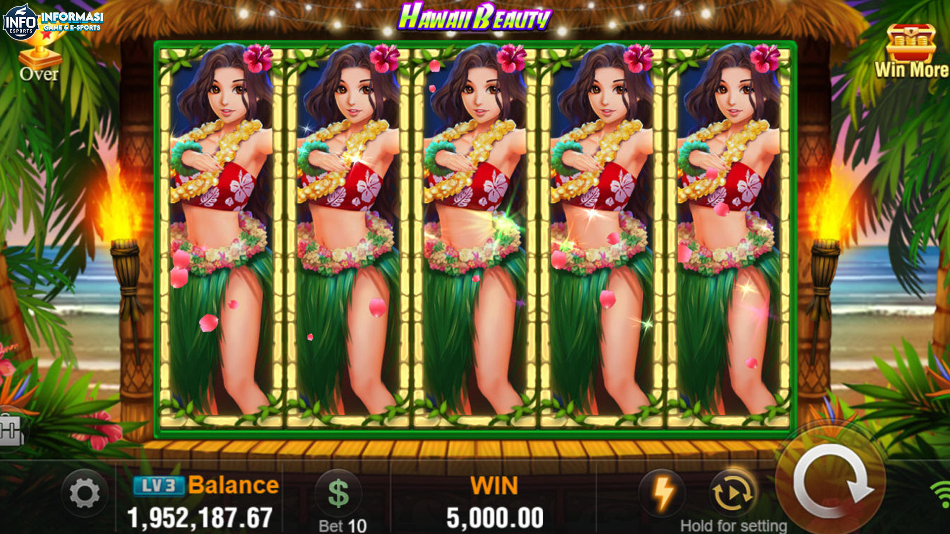 Rtp8000 Game Slot Hawaii Beauty Analisis Pola Main Paling Dicari