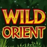 Dampak Rtp8000 Terhadap Peluang di Slot Wild Orient