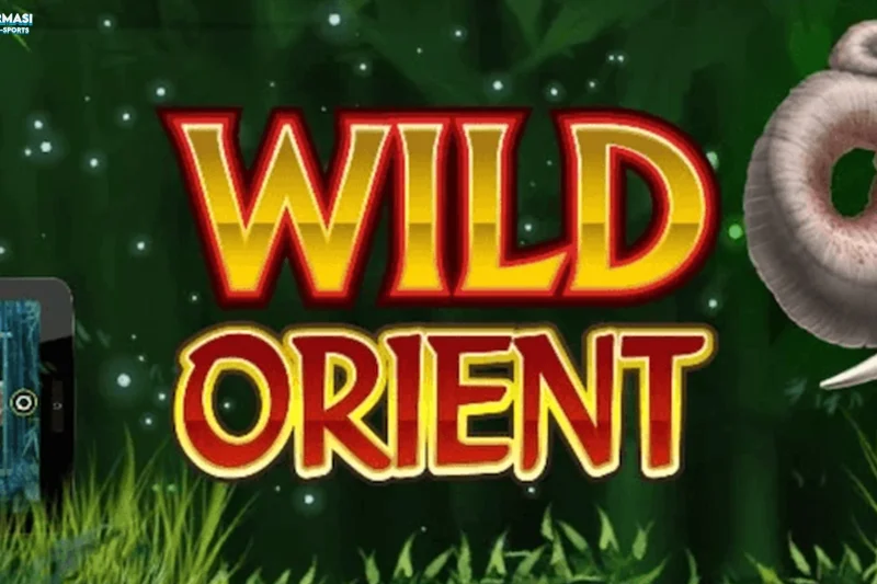 Dampak Rtp8000 Terhadap Peluang di Slot Wild Orient