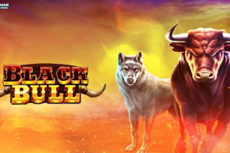 5 Data Menarik Tentang Performa Cnnslot Terkait Black Bull