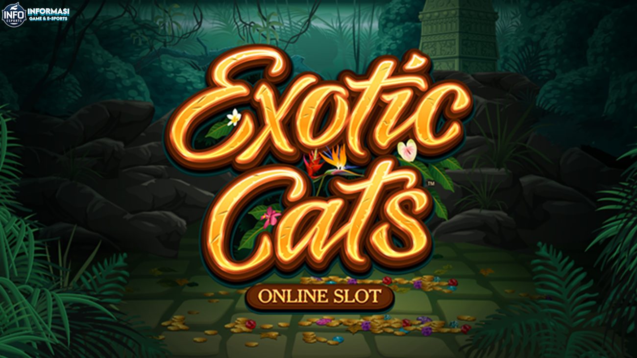Slot Exotic Cats Semakin Dahsyat dengan Bantuan Ruby8000