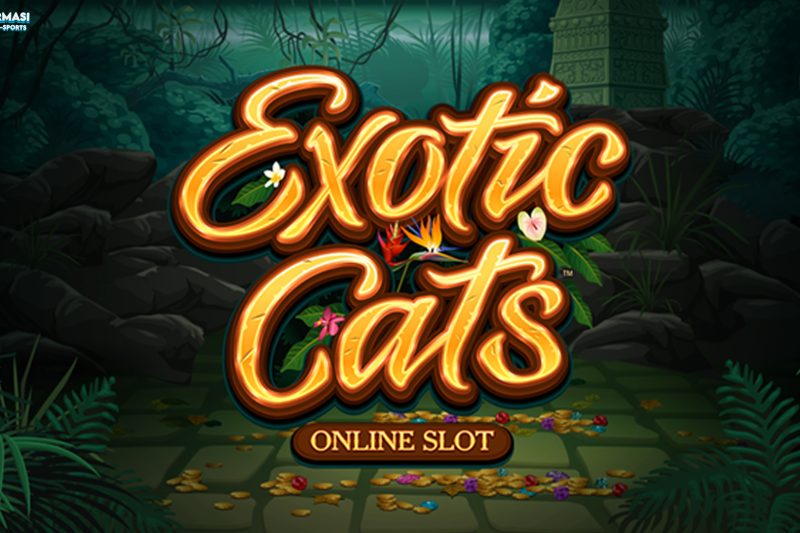 Slot Exotic Cats Semakin Dahsyat dengan Bantuan Ruby8000