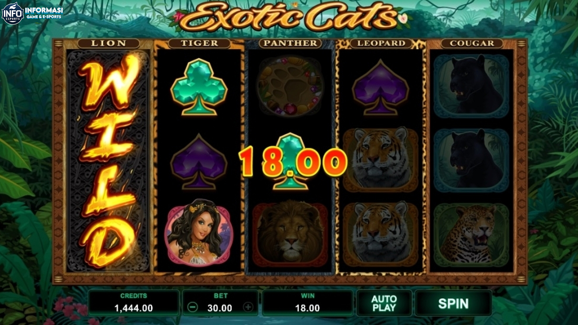 Slot Exotic Cats Semakin Dahsyat dengan Bantuan Ruby8000