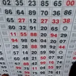 Falsafah Shio: Membaca Togel Online dalam Cermin 12 Siklus Kehidupan