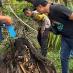 Ngulik 5 Jalan Cerita Alternatif di Lies of P yang Harus Dicoba