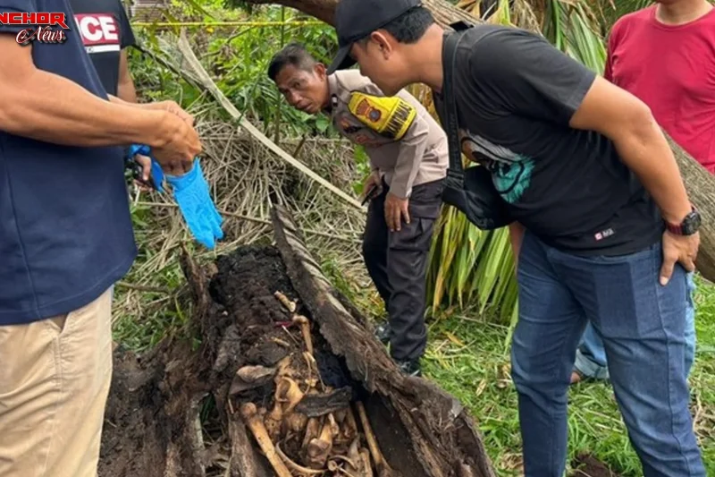 Ngulik 5 Jalan Cerita Alternatif di Lies of P yang Harus Dicoba