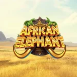 Slay Queen! 5 Side Lit African Elephant Terbaru Vibe Rizzler