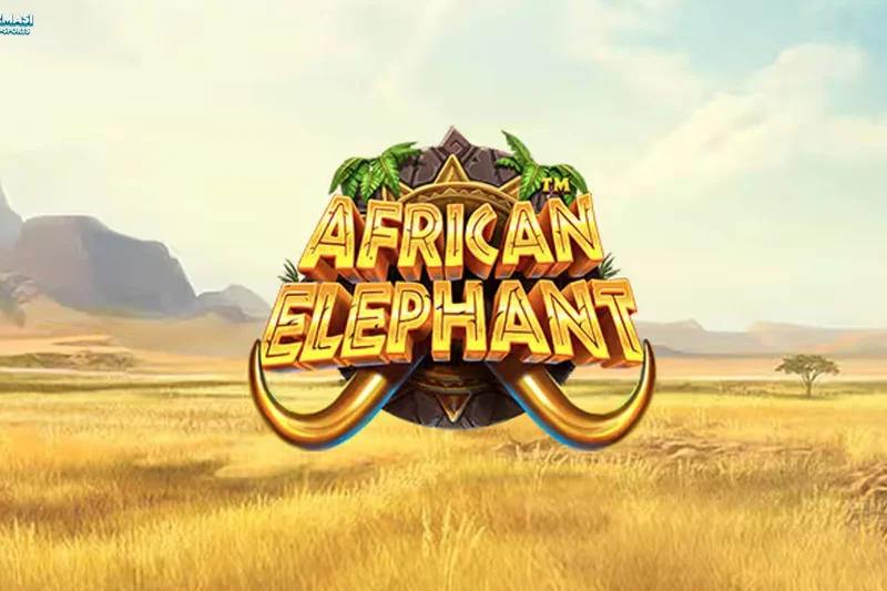 Slay Queen! 5 Side Lit African Elephant Terbaru Vibe Rizzler