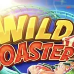 Dapetin 4 Insight Fresh Soal Dunia Wild Coaster yang Sedang Hits