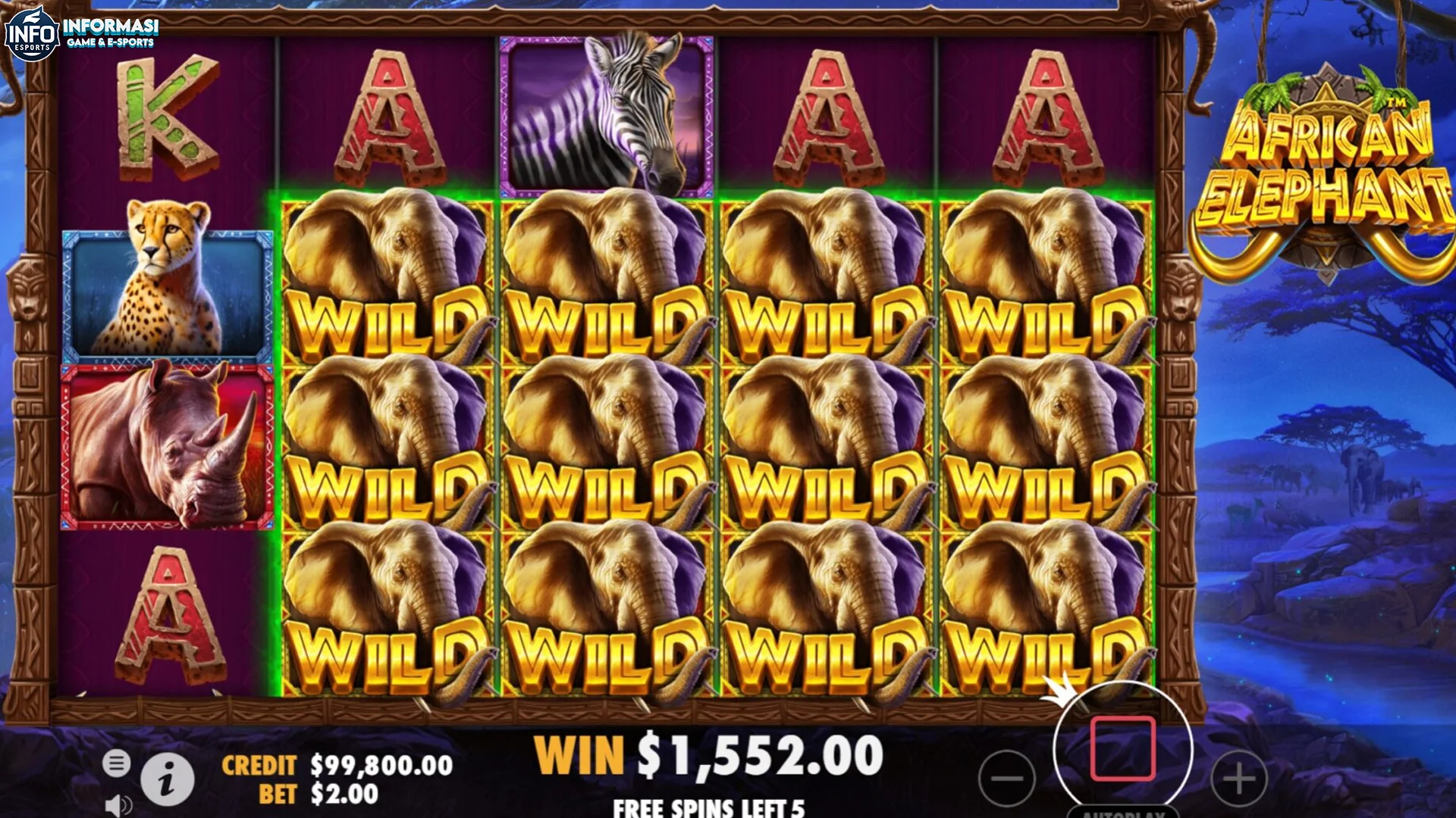 Slay Queen! 5 Side Lit African Elephant Terbaru Vibe Rizzler