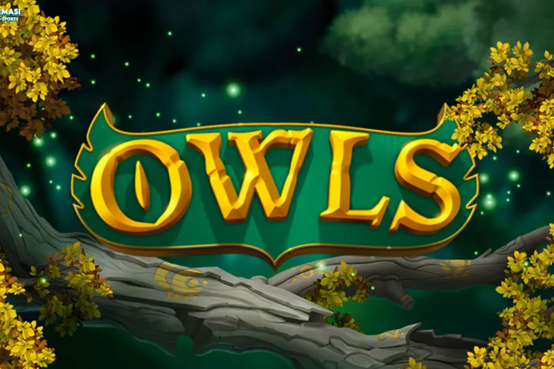 Horor Banget! 5 Ledakan Paling Seram Jadi Predator Malam di Owls