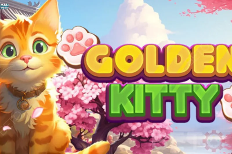 Bukan Cuma Gemes, Ini 5 Rahasia Golden Kitty yang Lagi Booming
