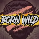 Born Wild Punya 5 Kejutan Gila yang Bisa Bikin Kamu Kagum Parah