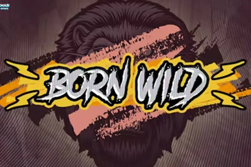 Born Wild Punya 5 Kejutan Gila yang Bisa Bikin Kamu Kagum Parah