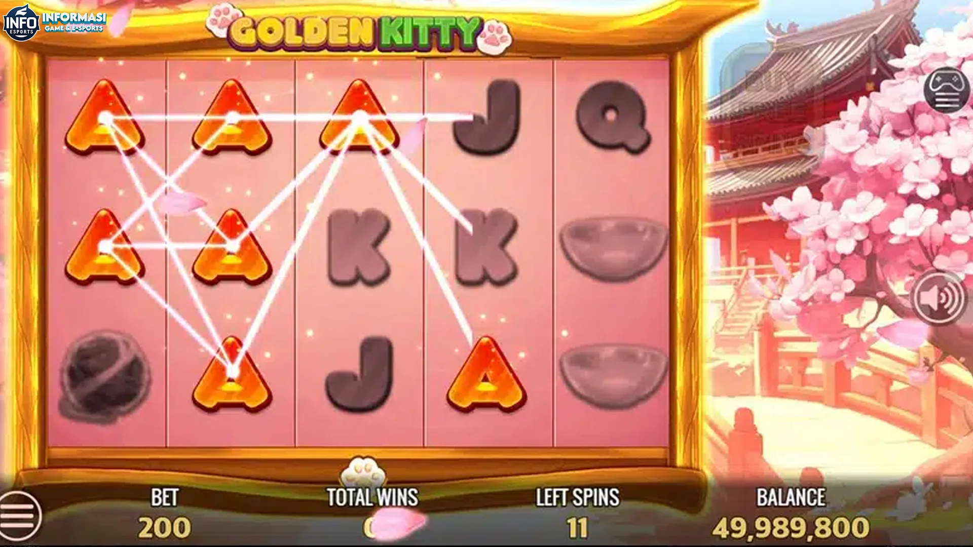 Bukan Cuma Gemes, Ini 5 Rahasia Golden Kitty yang Lagi Booming